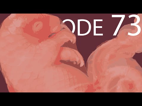 Episode 73 - Animal Development