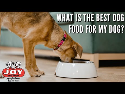 What is The Best Joy Formula For My Dog? | Fueled by Joy