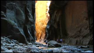 Digital Underground Presents: Family Video By Alex