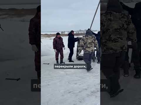 Крупнейшие протесты в России. Власти убивают животных!