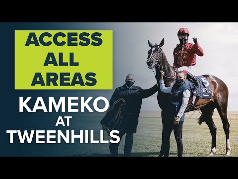 2000 GUINEAS WINNER KAMEKO SETTLING INTO NEW LIFE AT TWEENHILLS | ACCESS ALL AREAS