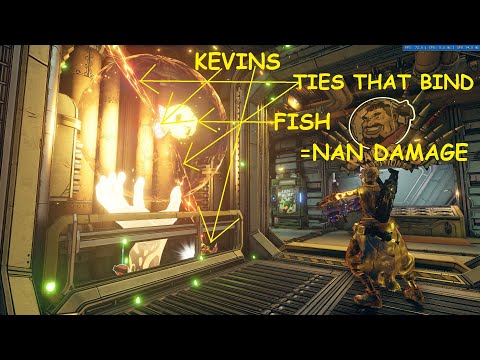 The SECOND Instance of Nan Damage in Vanilla Borderlands 3