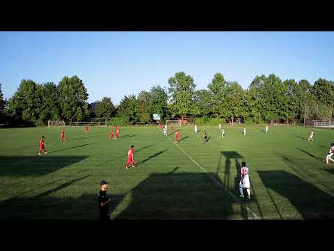 FDC Vista review 03 09 2019