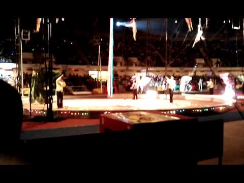 Moslah Circus