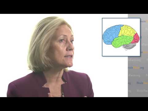 The Workings of the Adolescent Brain