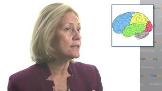 The Workings of the Adolescent Brain