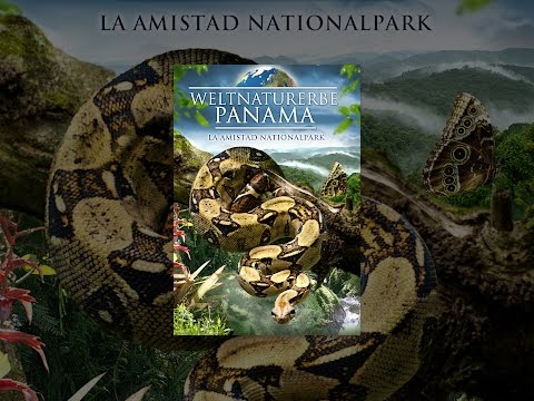 Weltnaturerbe Panama: La Amistad Nationalpark
