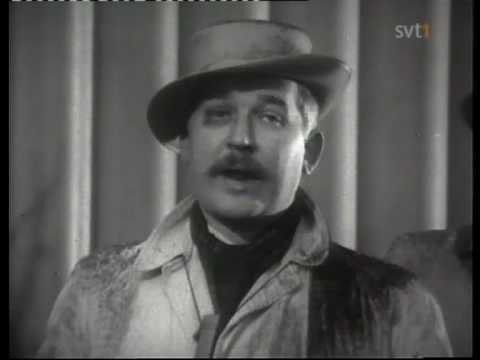 Mosevisionen - Föroreningar