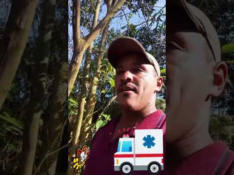 MARCELINHO DO BARRO FALA SOBRE O CASO DA AMBULÂNCIA DA SAMU NOVINHA QUE DESTRUÍRAM