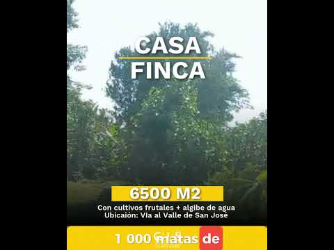 CASA FINCA EN VENTA DE 6500M2 EN SAN GIL SANTANDER
