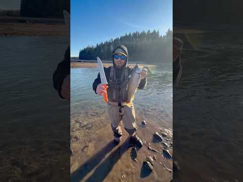 How to clean almost any fish