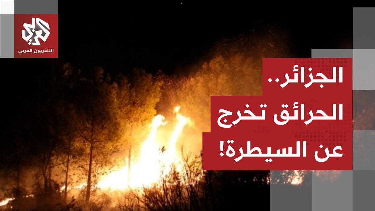 الجزائر.. رقعة الحرائق في تيبازة تتسع وفرق الإطفاء تحاول احتواء الموقف!