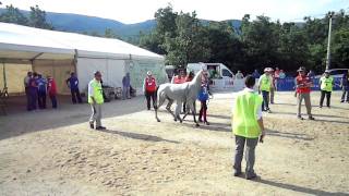 preview picture of video 'RAID Endurance Valle de El Paular Rascafria 2011 2ª Parte'