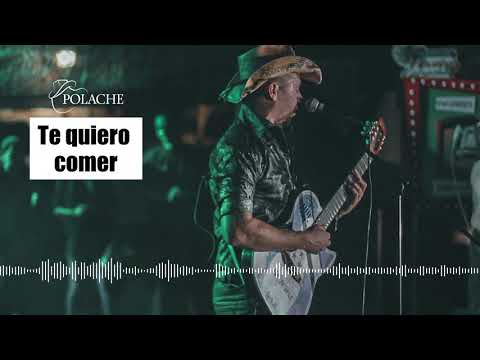 Polache - Te quiero comer (Versión Audio)