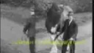 Matt McGinn - Bucking Bronco