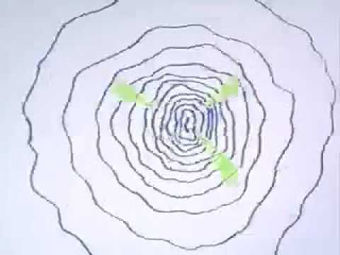 December African Rain Animation Final