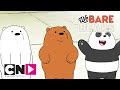 Wat Beren Leren | Babyberen | Cartoon Network