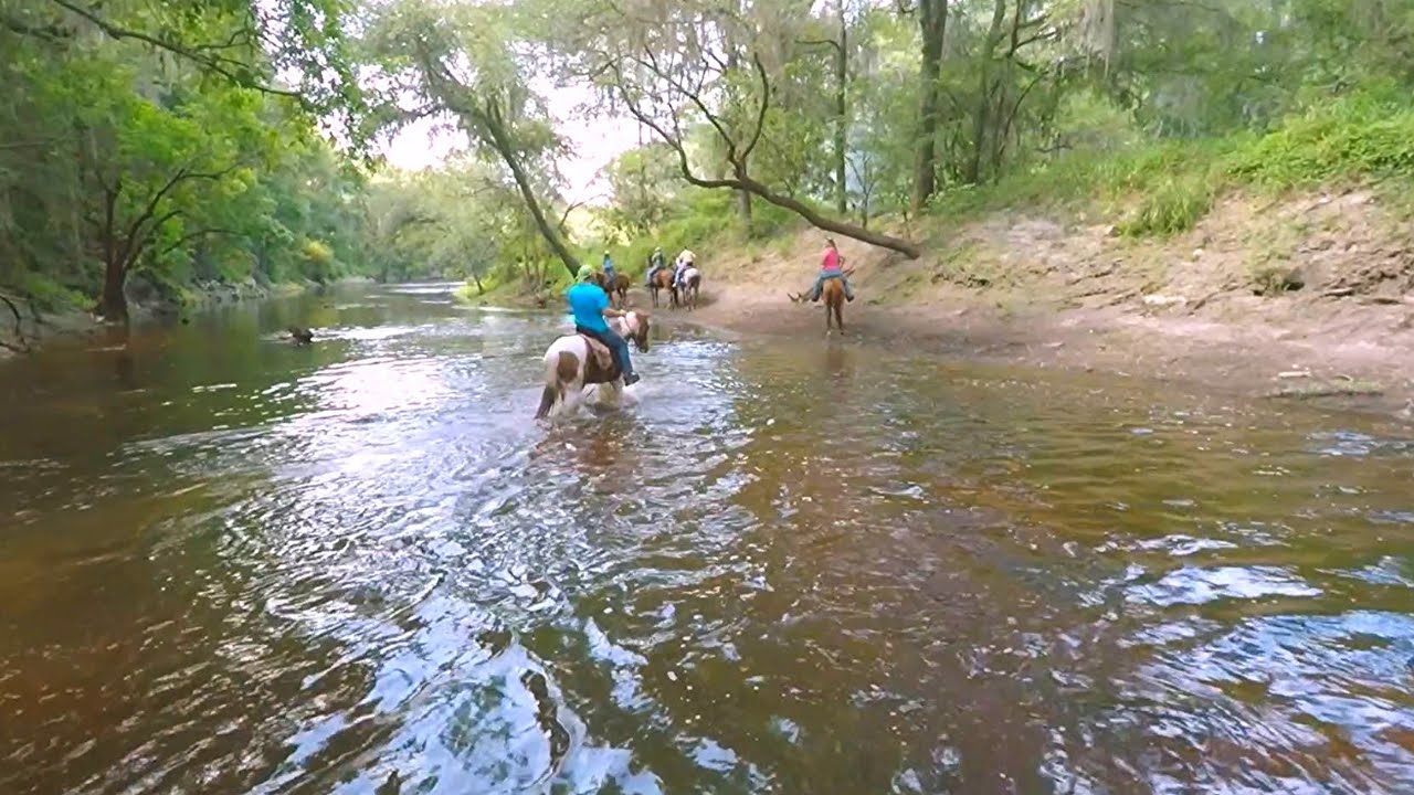 Serene Horseback Riding At McCulley Farms In Jasper