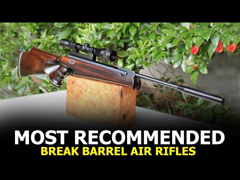 Top 10 Best Break Barrel Air Rifles for Small Game Hunting - Most Recommended Airguns
