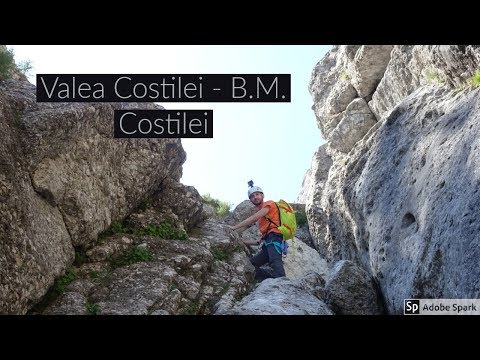 Valea Costilei vara