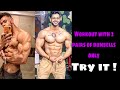 Workout with only 2 pairs of dumbells ( try it )