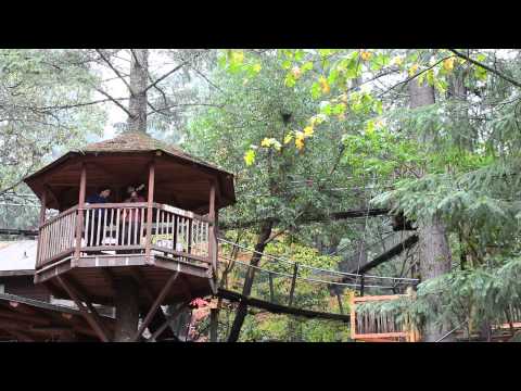 download lagu mp3 mp4 White Christmas Songwriter, download lagu White Christmas Songwriter gratis, unduh video klip White Christmas Songwriter