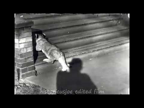 Detroit 1928 Full Edit-  Part One