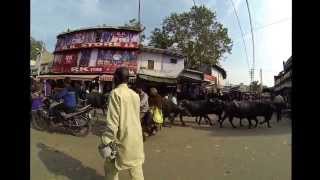 preview picture of video 'Agra Bazar interrupted... By bovines.'