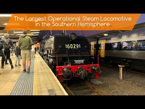 Sydney Trains Vlog 1957: The Largest Operational Steam Locomotive in the Southern Hemisphere