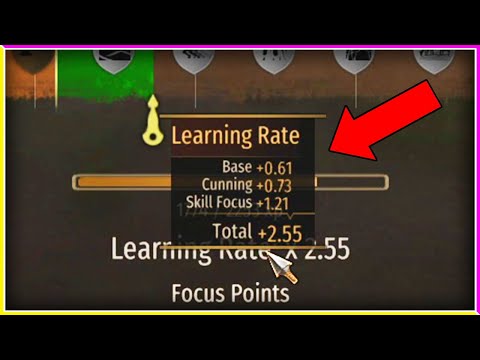 Attribute Points & Focus Points in Bannerlord (Fact)