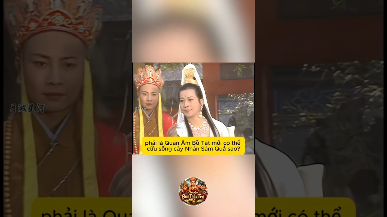Cây Nhân Sâm có thật sự cần Quan Âm mới có thể cứu sống được trong Tây Du Ký?