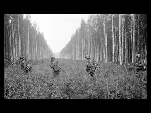 SÄKKIJÄRVEN POLKKA (INSTRUMENTAL)