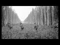 SÄKKIJÄRVEN POLKKA INSTRUMENTAL