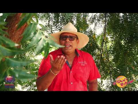 Mix Pesares - Stany Band de Mancora (Video Clip HD)