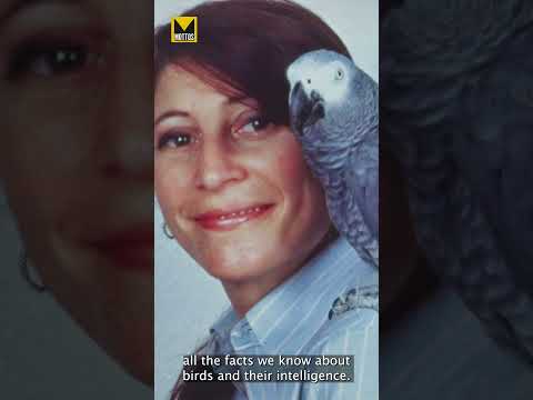 The only non-human animal to have ever asked a question!