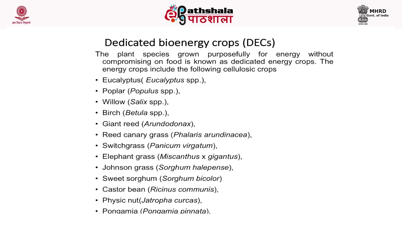 Biomass as an Energy source