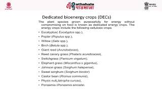 Biomass as an Energy source