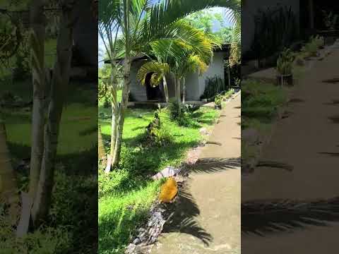 Isla del Cacao Loreto-Orellana-Ecuador.