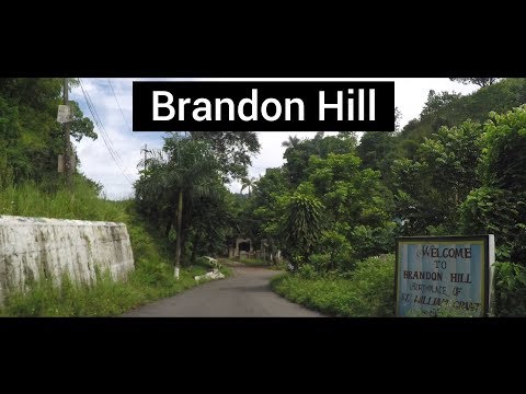 download lagu mp3 mp4 Brandon Hill, download lagu Brandon Hill gratis, unduh video klip Brandon Hill