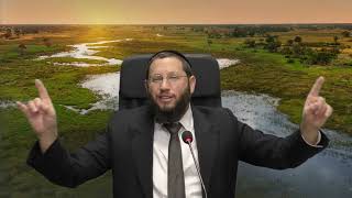 שלום בית - ניהול קונפליקטים – הרב אייל אונגר