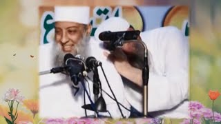 بسمة | الشيخ الحويني | منور يا مولانا image