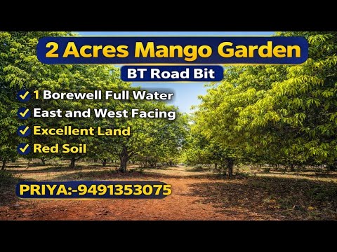 Priya:9491353075||Mango Garden sale||2 Acres||32 lakh per Acre #agriculture #farming #youtube #land