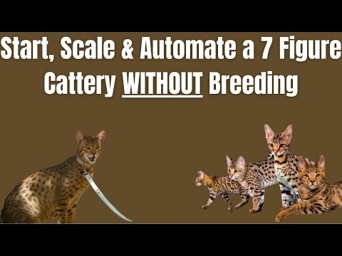 Start, Scale & Automate a $1 Million Cattery WITHOUT Breeding