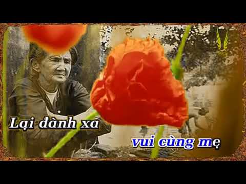 Xuân Này Con Về Mẹ Ở Đâu | Karaoke Quang Lê |Tone nam