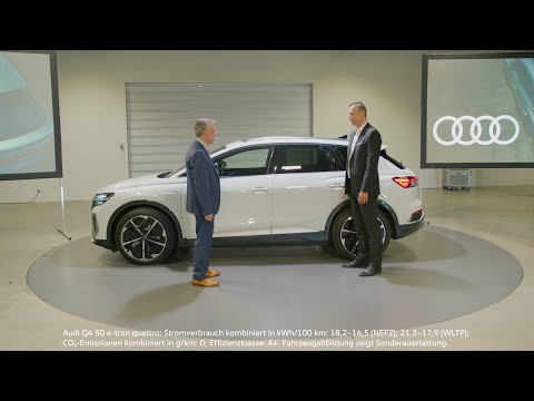 Die Flotte der Zukunft ist elektrisch - ein Gespräch