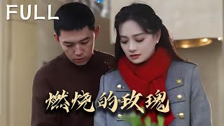 楊琳的父親楊文浩突然去世留下巨額債務和未解之謎，楊琳在調查中發現父親的死因與壹筆失蹤的巨款有關 而江海洋作爲 東祥國際海運公司 的財務總監似乎隱藏著深重的秘密和野心‌#大陆剧 #完整版