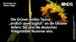 Video-Thumbnail von YouTube