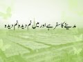 Madine Ka Safar Hai