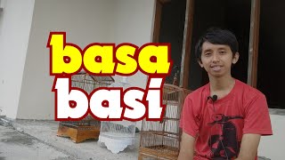 Download lagu You bought a bird that's already singing, but it's mute at home? Here are some tips to help your ... mp3
