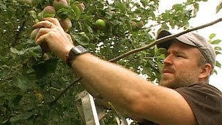 preview picture of video 'Portland's Backyard Fruit - From Waste to Feast'